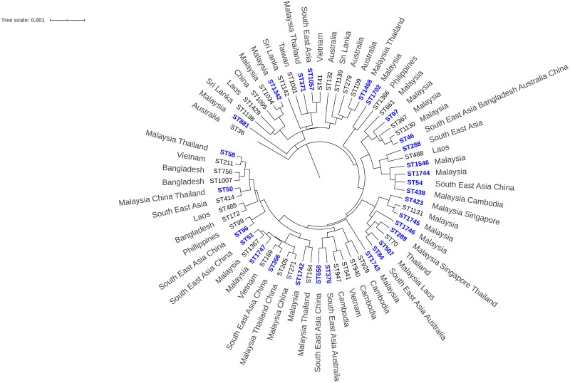 Fig 5