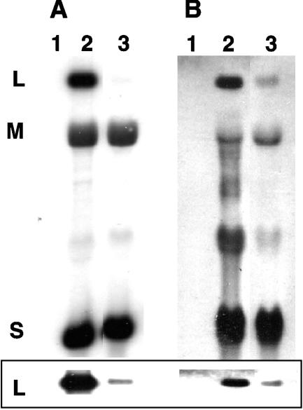 FIG. 5.