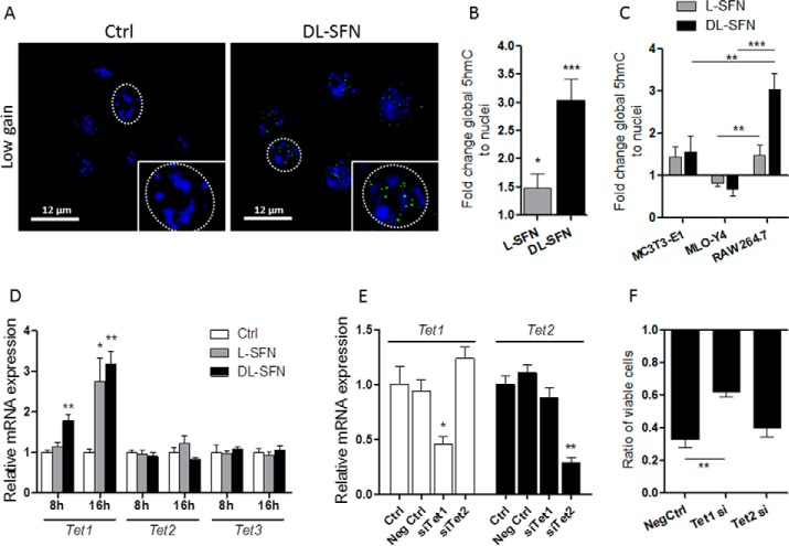 FIGURE 12.