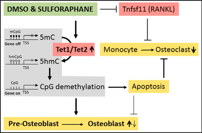 FIGURE 13.