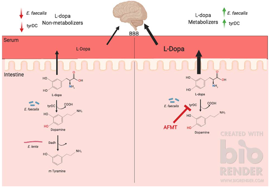 Figure 1: