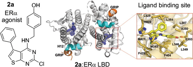 graphic file with name ml2c00180_0011.jpg