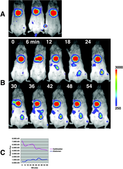 FIG. 3.