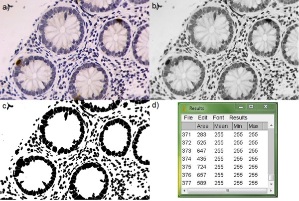 Figure 6