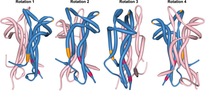 Fig. 3