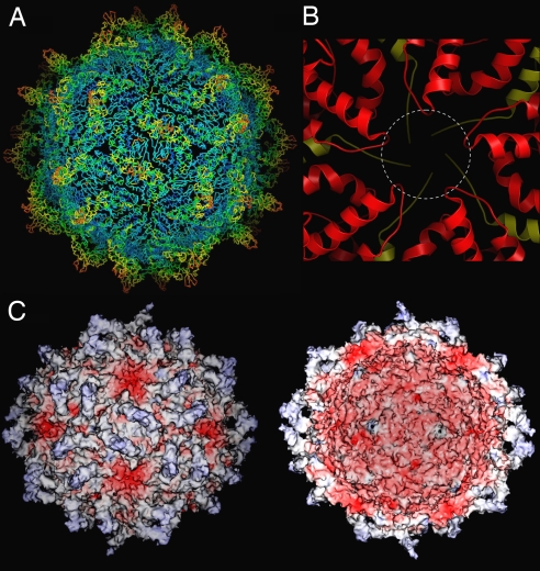 Fig. 4.