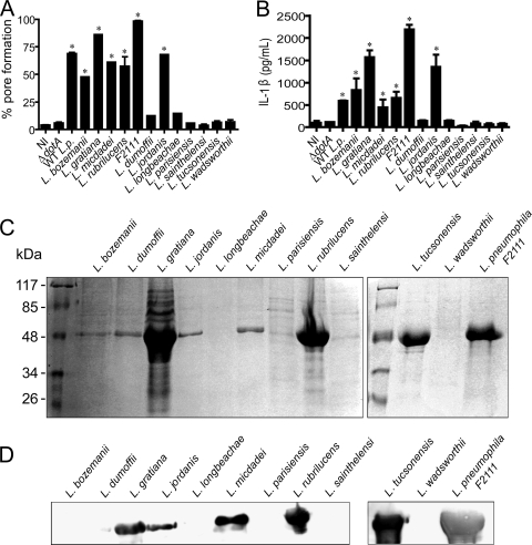 FIG. 8.