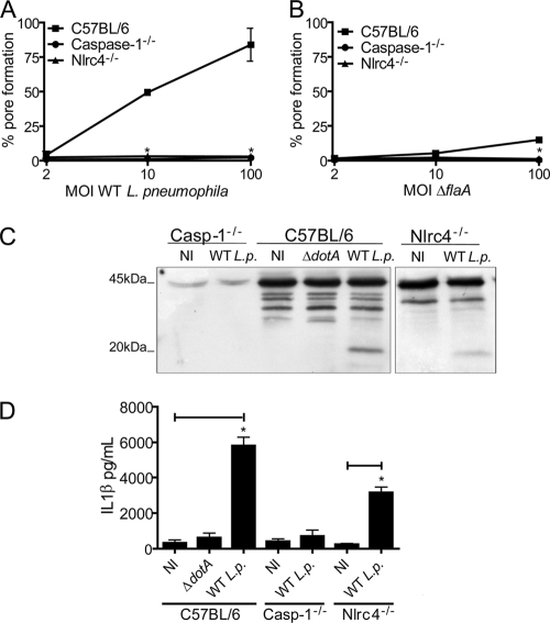 FIG. 7.