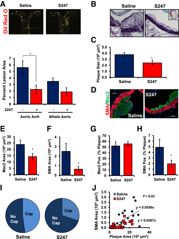 Figure 6