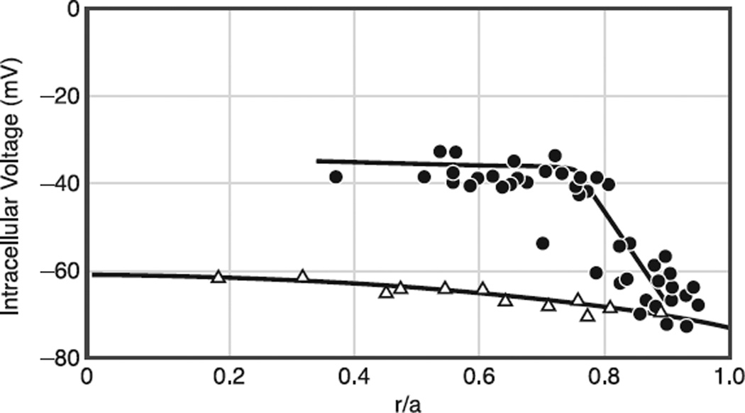 Fig. 12