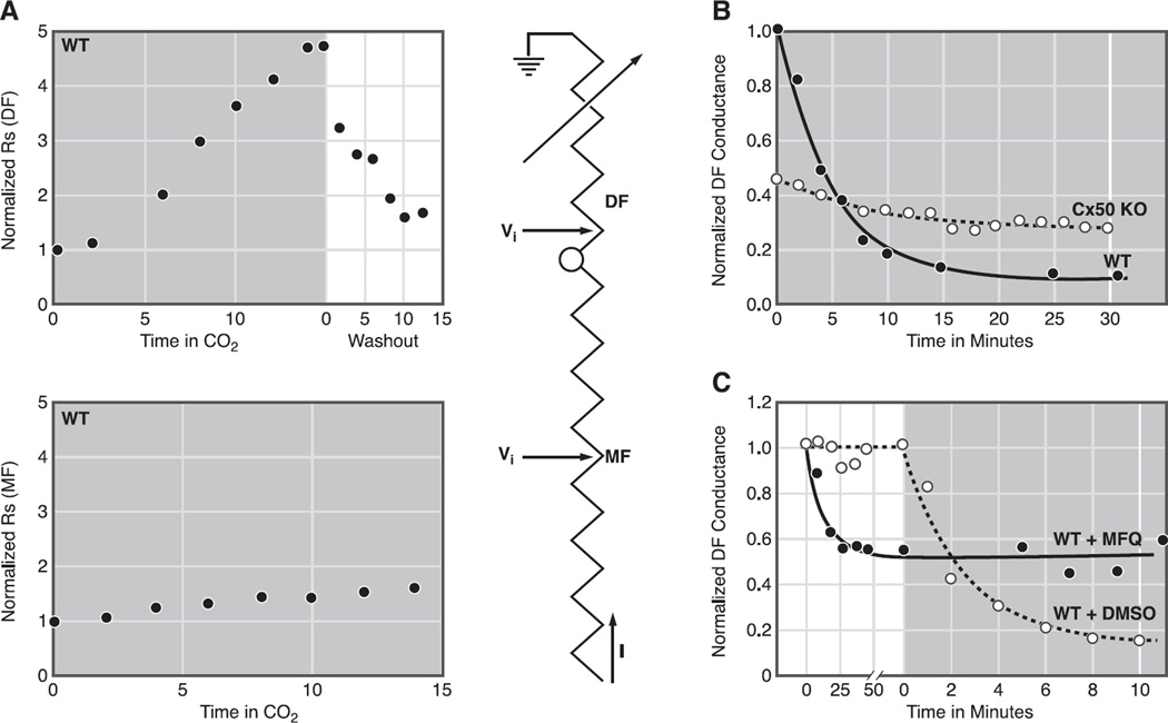 Fig. 9