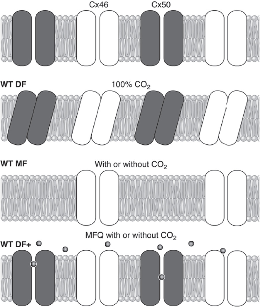 Fig. 10