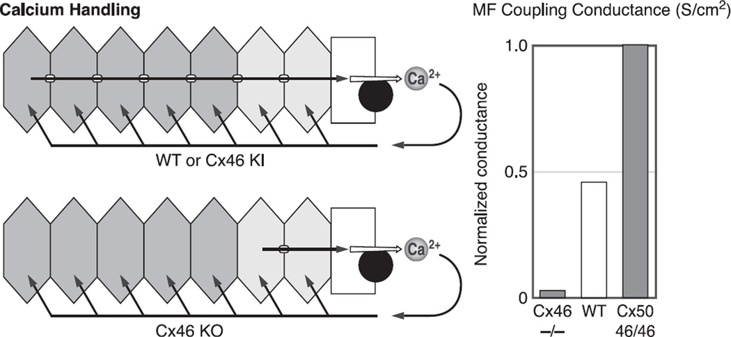 Fig. 13