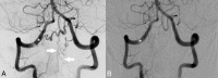 Figure 5