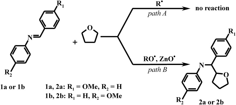 Scheme 2