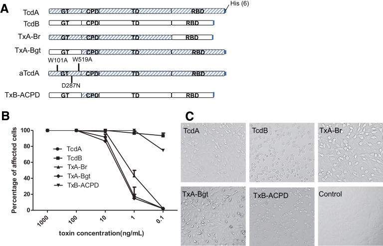 Figure 1