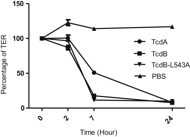 Figure 10