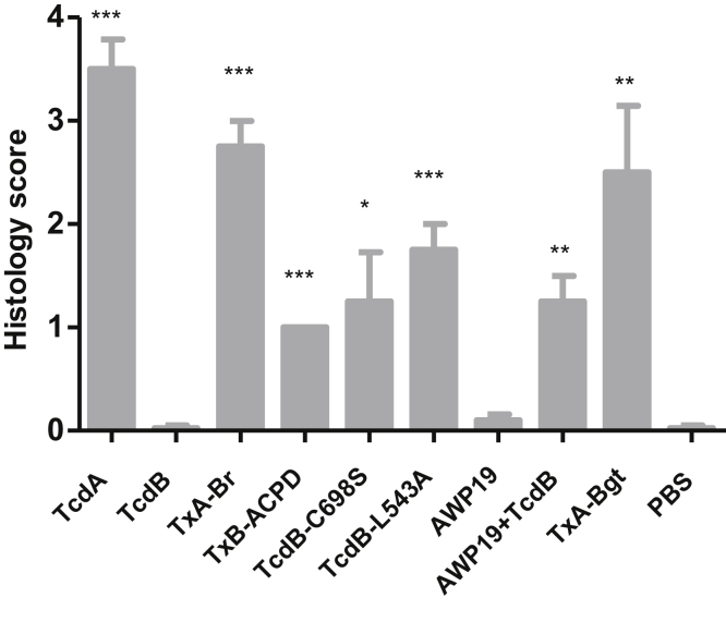 Figure 4