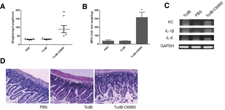 Figure 6