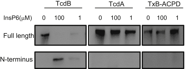 Figure 5