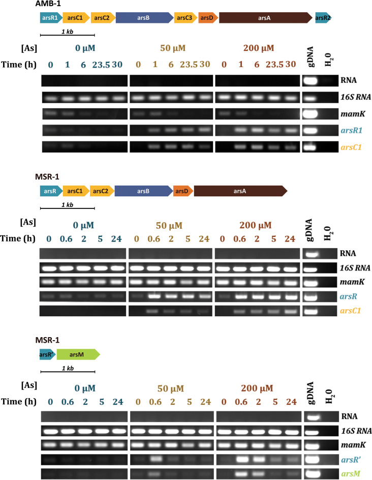 FIG 2