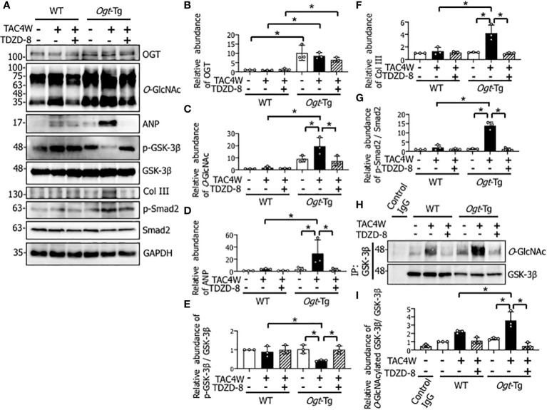 Figure 6