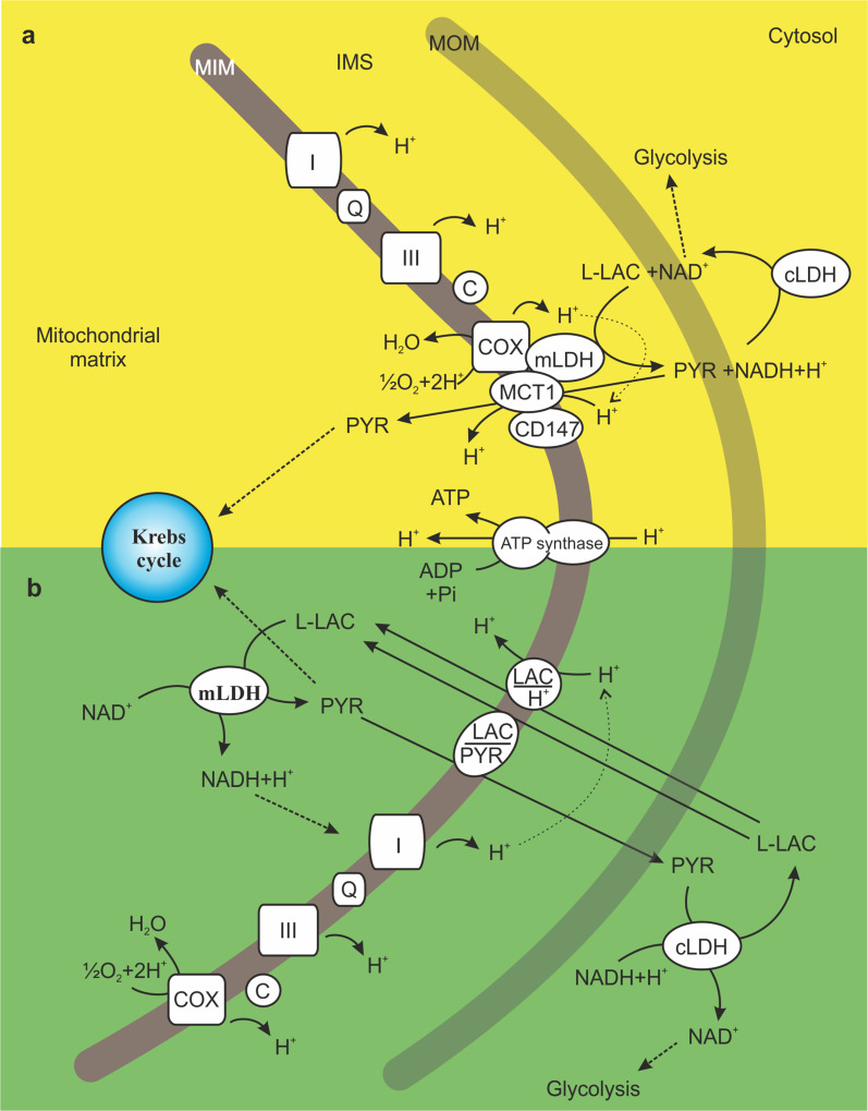 Scheme 3