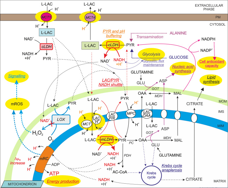 Scheme 2