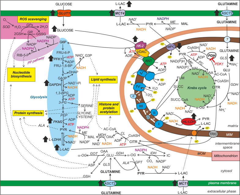 Scheme 1