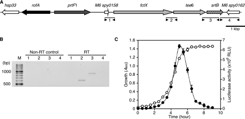 FIGURE 1.