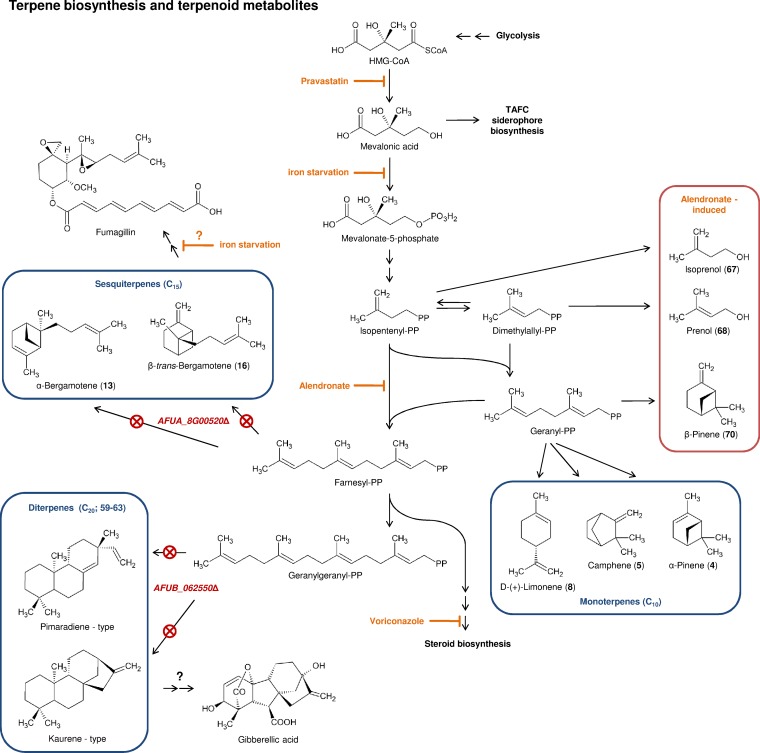 FIG 4