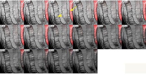 Figure 10.