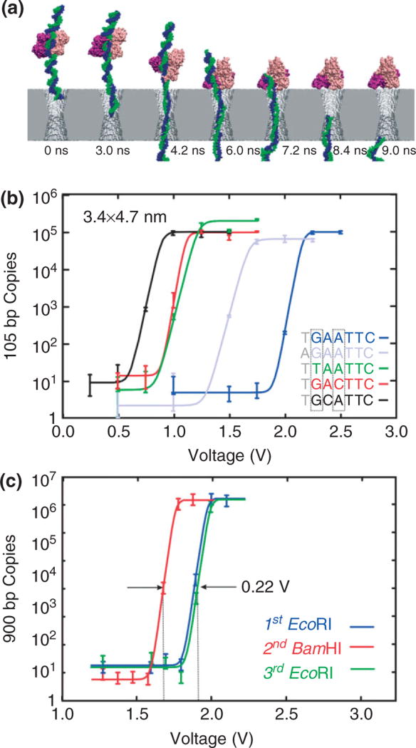 FIGURE 3