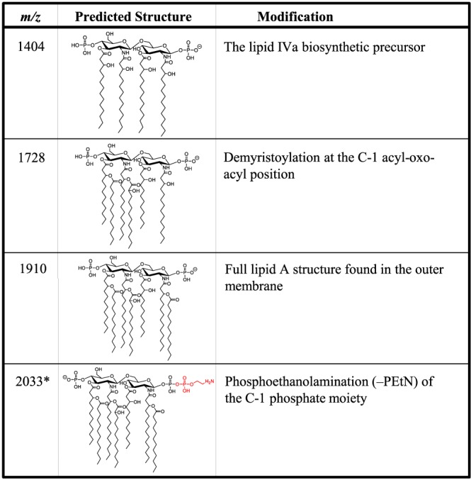 FIG 2