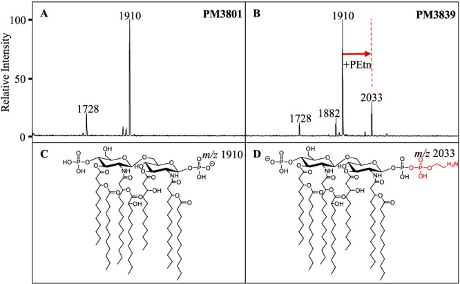 FIG 3