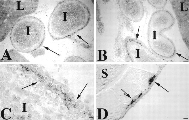 Fig. 10.