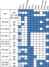 Fig 3