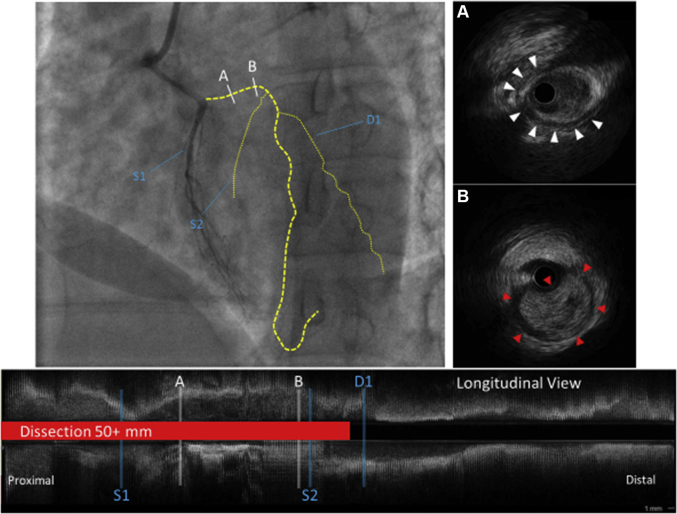 Figure 3