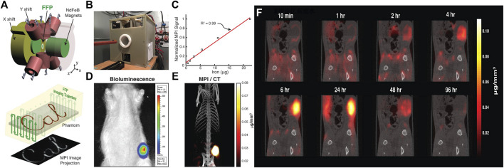 FIGURE 3