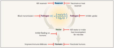 graphic file with name nihms75111u1.jpg