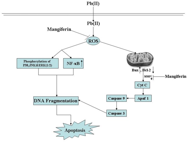 Figure 13