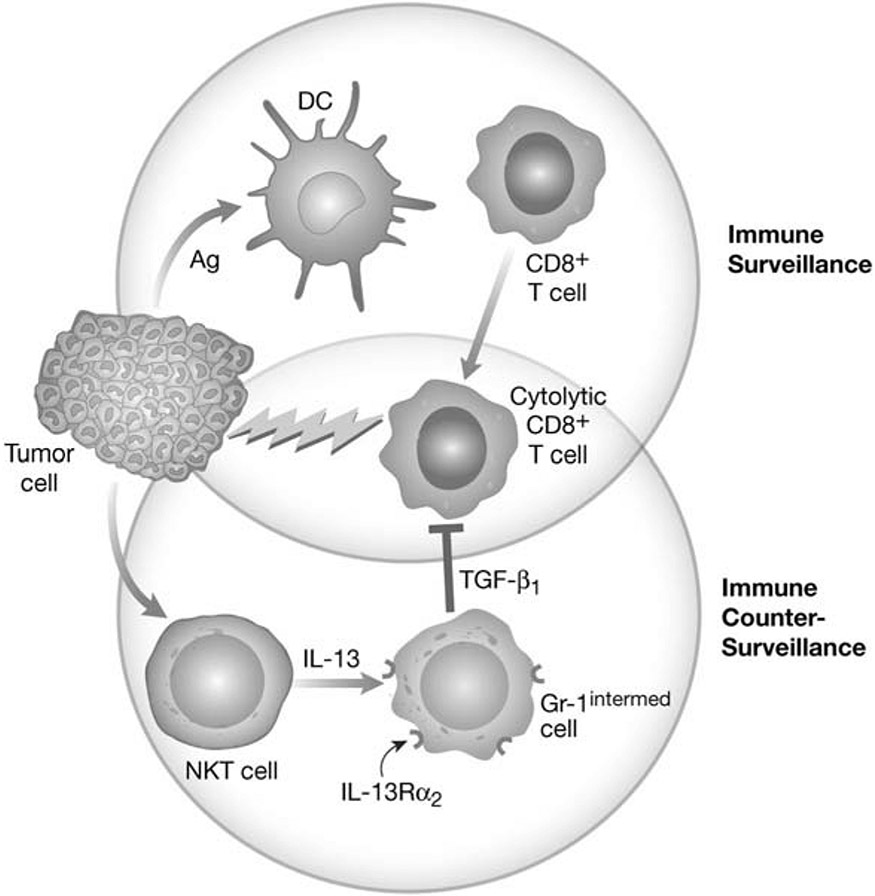 Fig. (3).