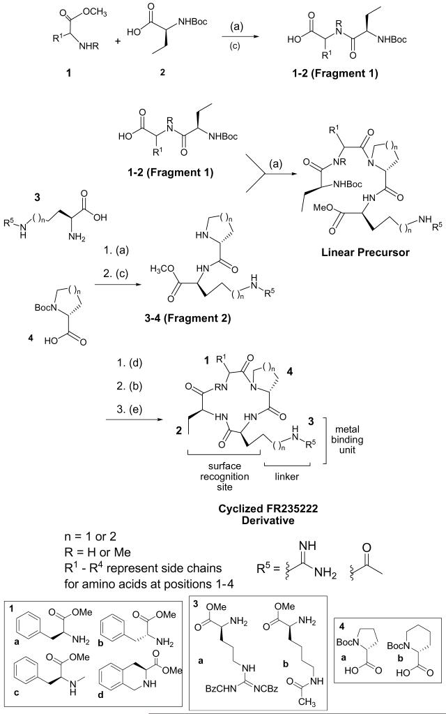 Scheme 1