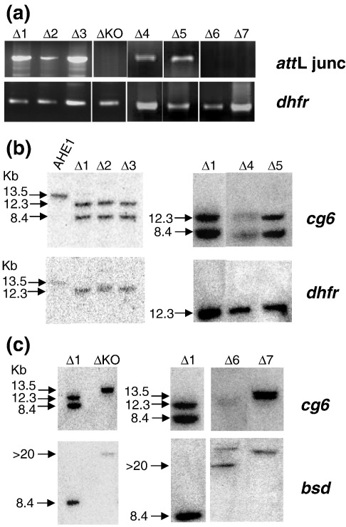 Fig. S3