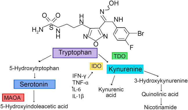 Fig. 1