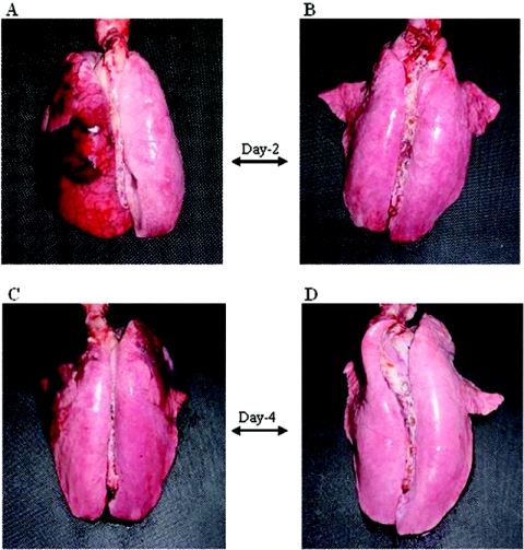 FIG. 5.