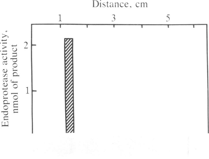 graphic file with name pnas00294-0133-a.jpg