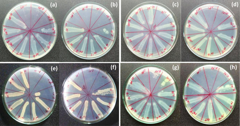 Fig. 6