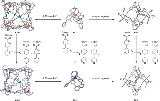 Scheme 2