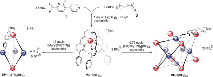 Scheme 1